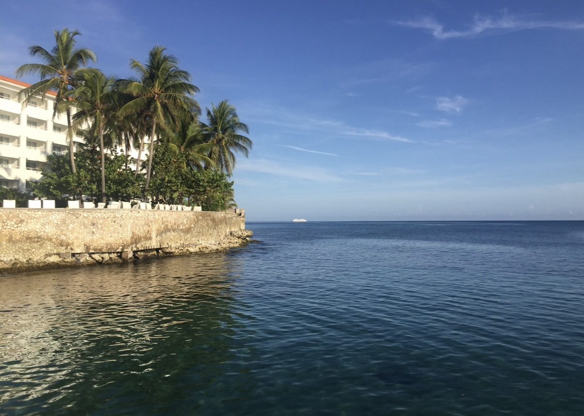 Palms leaning over a seawall where clear water meets the horizon
