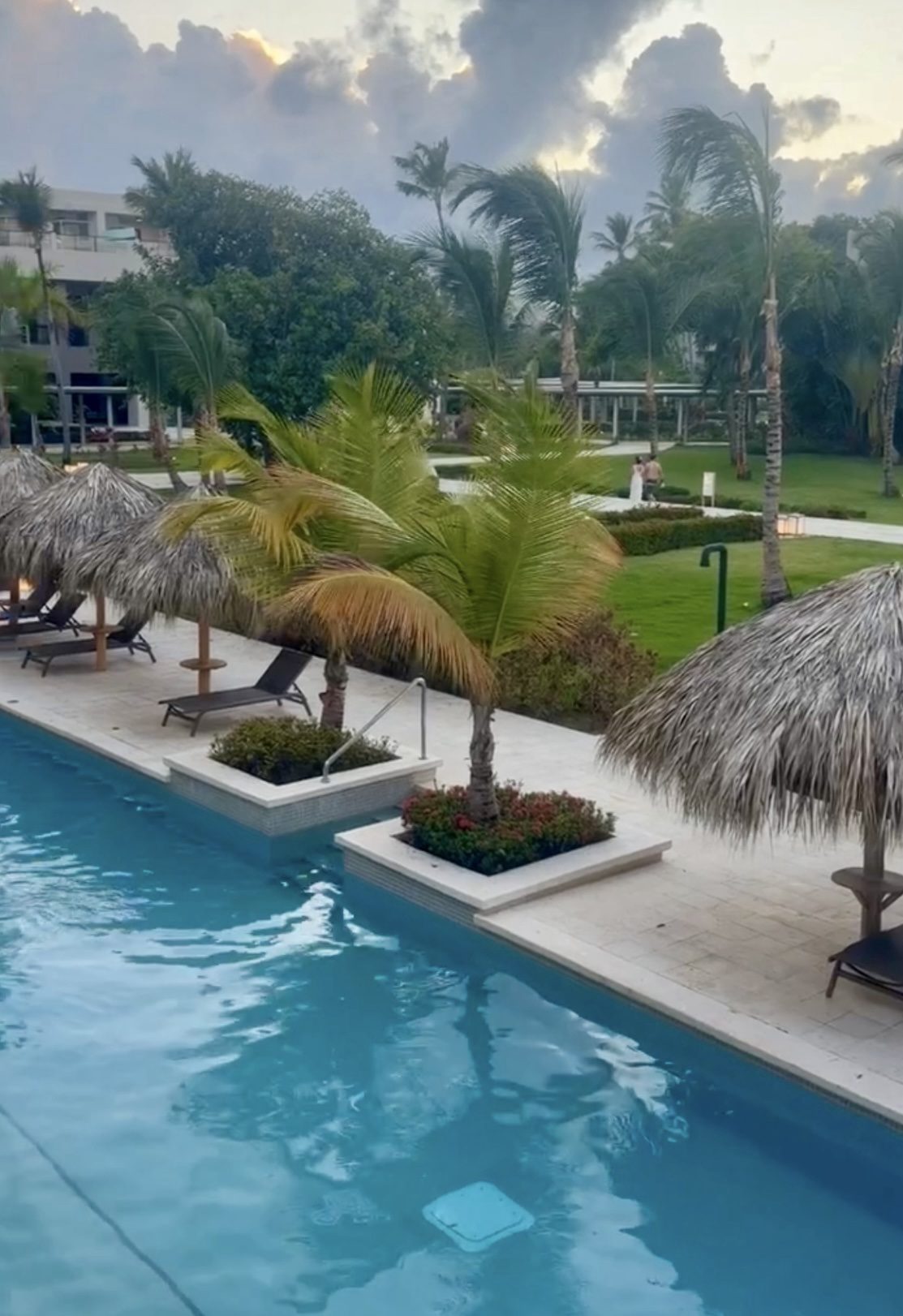 Thatched umbrellas and palms beside a still pool at dusk
