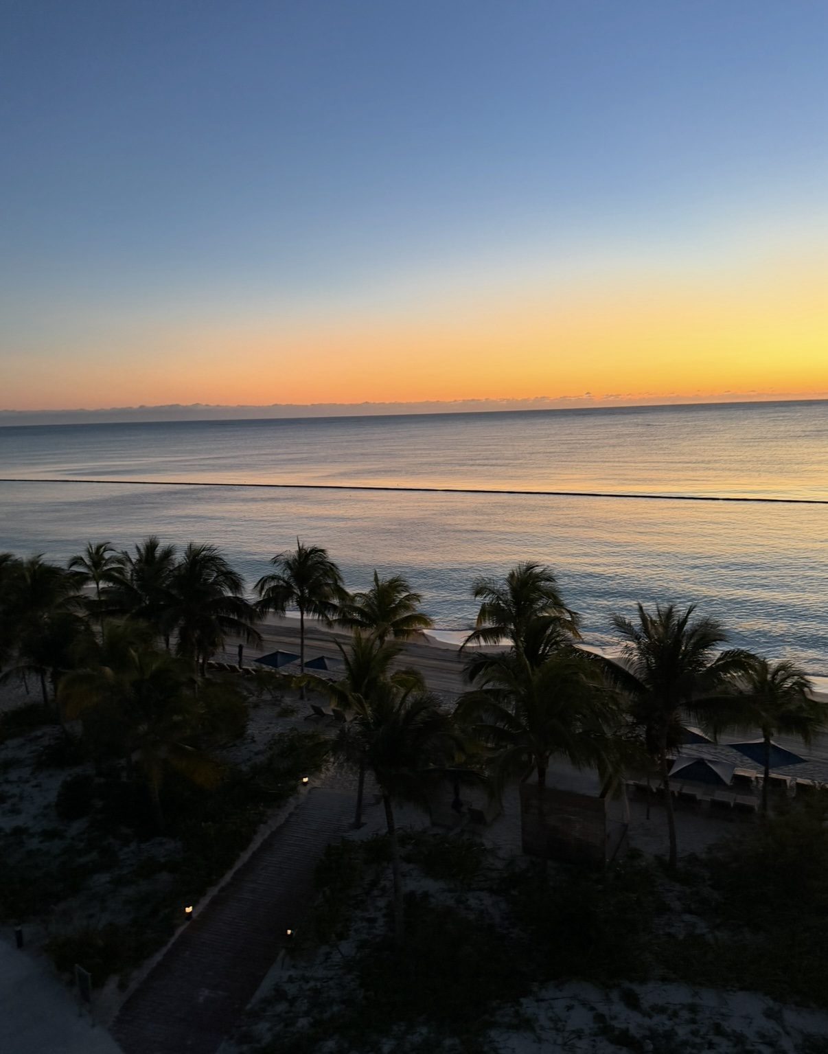 Palms silhouetted against a gold and blue sunrise over the ocean